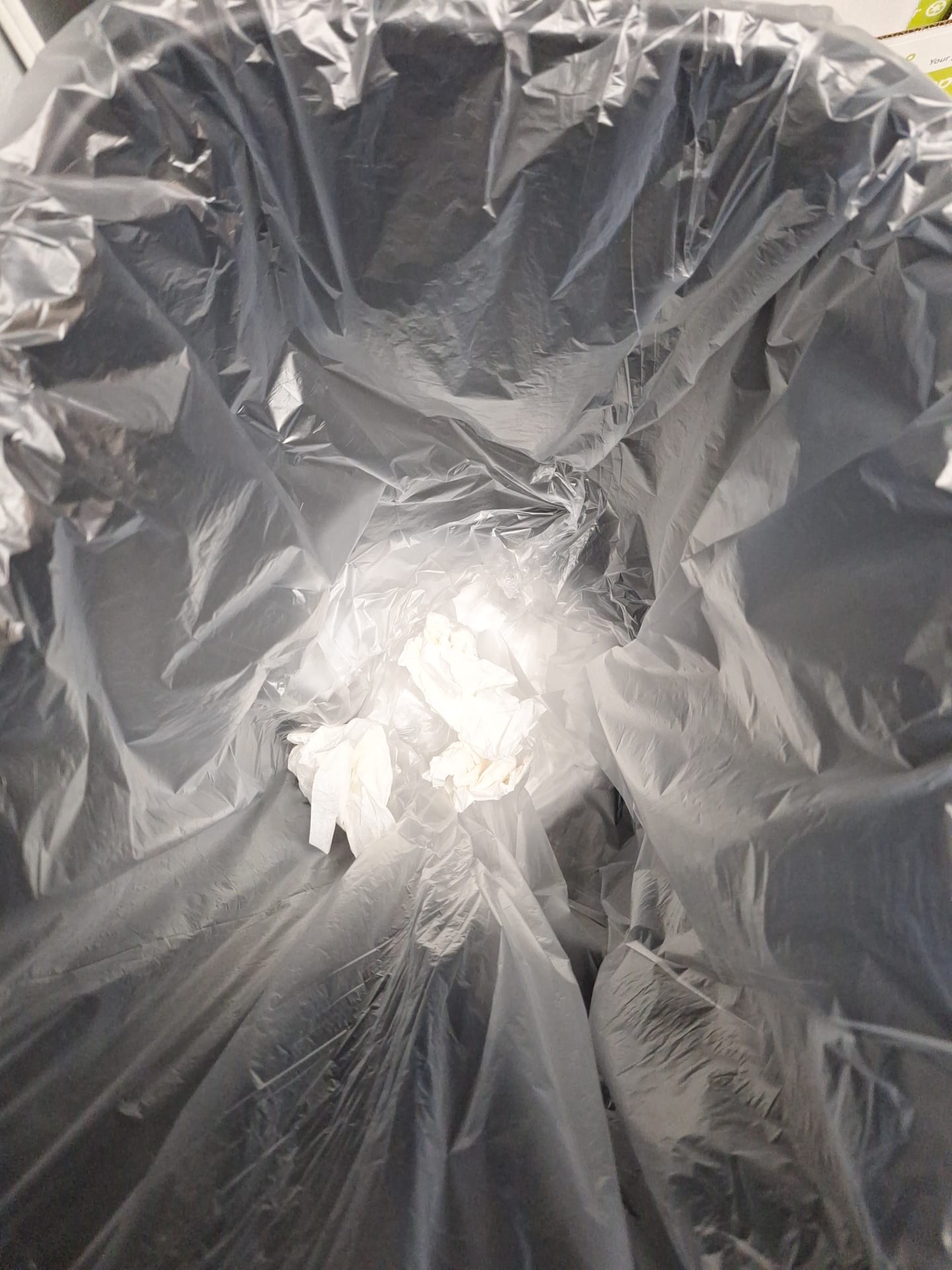 WhatsApp Image 2026-02-27 at 11.40.11 PM.jpeg